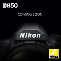 Nikon-D850-vs-Nikon-D810-comparison.gif